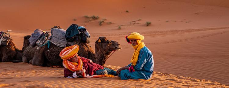 Kamel und Kamelreiter in der Wüste