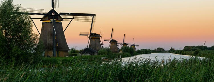 Grünes Grasfeld in der Nähe von einem Fluss und Windmühlen